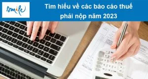 bao-cao-thue-phai-nop bao-cao-thue-phai-nop