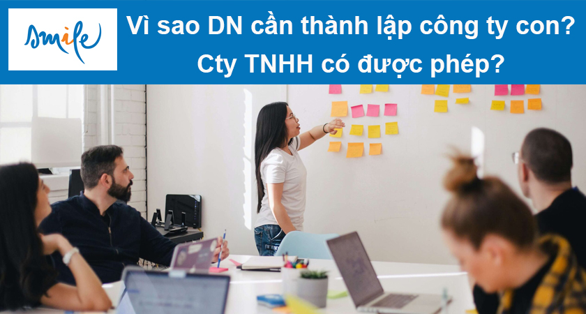 vi-sao-dn-can-thanh-lap-cong-ty-con-cty-tnhh-co-duoc-phep-1