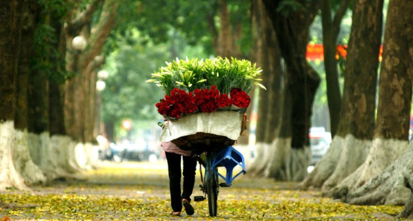 không có giấy phép kinh doanh phạt bao nhiêu