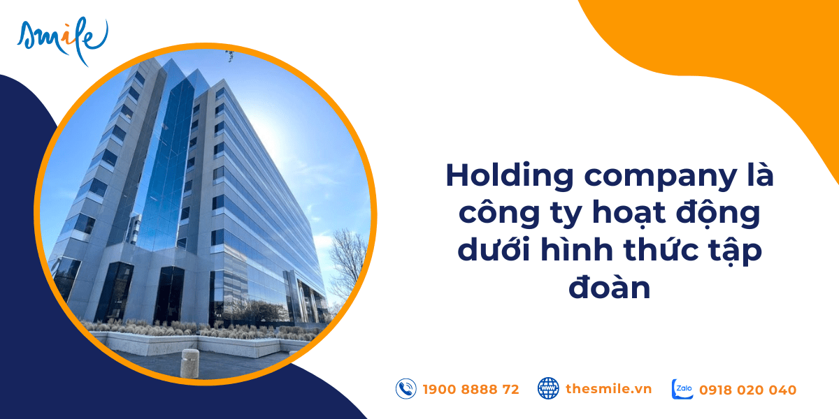 holding company là gì